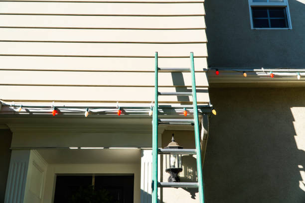 Best Stone Veneer Siding  in Massanutten, VA