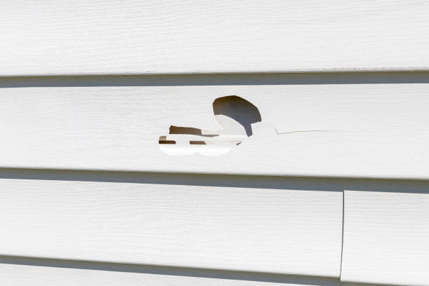 Affordable siding repair and maintenance services in Massanutten, VA