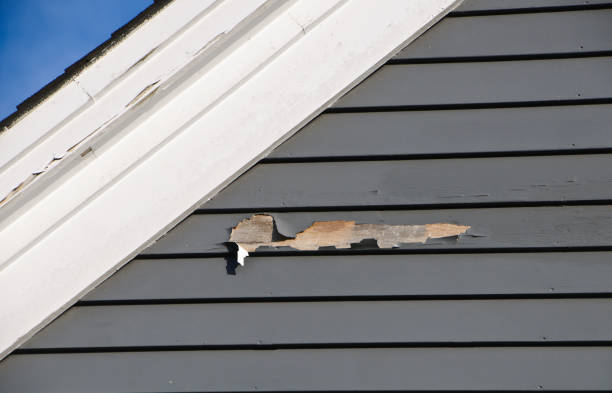 Best Storm Damage Siding Repair  in Massanutten, VA