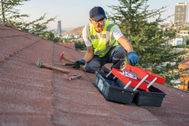 Best Historical Building Siding Restoration  in Massanutten, VA